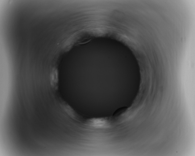 X0000099950528200805231324