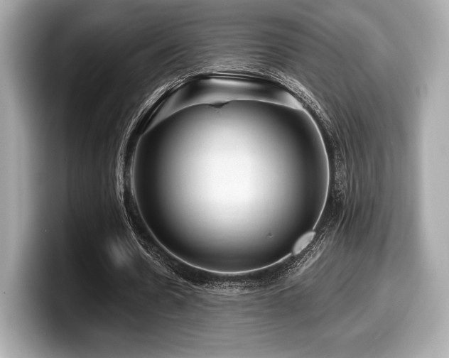 X0000099950530200805231323