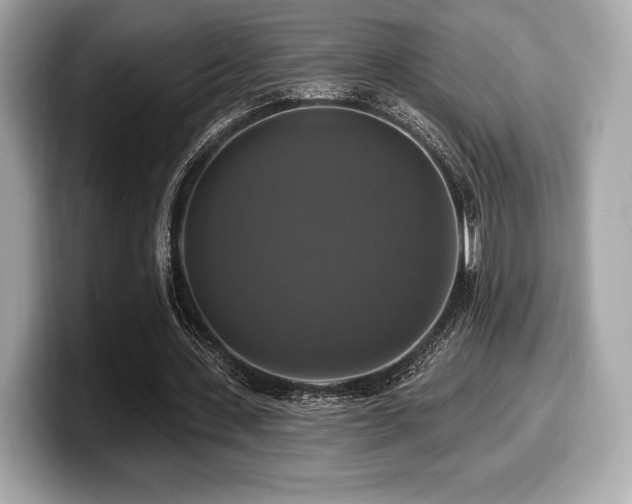 X0000099950531200805231323