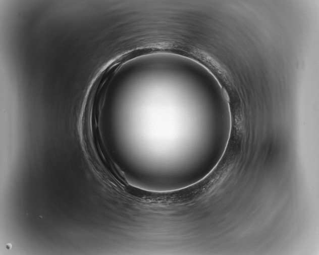 X0000099950532200805231323