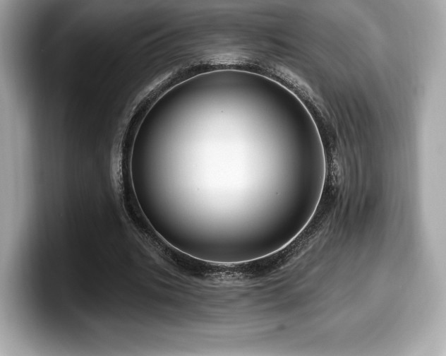 X0000099950535200805231323