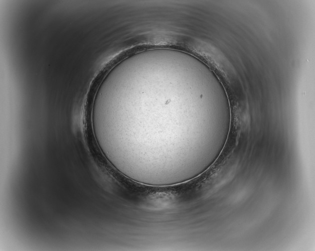 X0000099950536200805231323