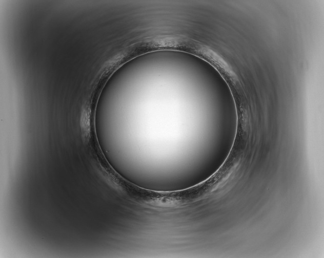 X0000099950537200805231323