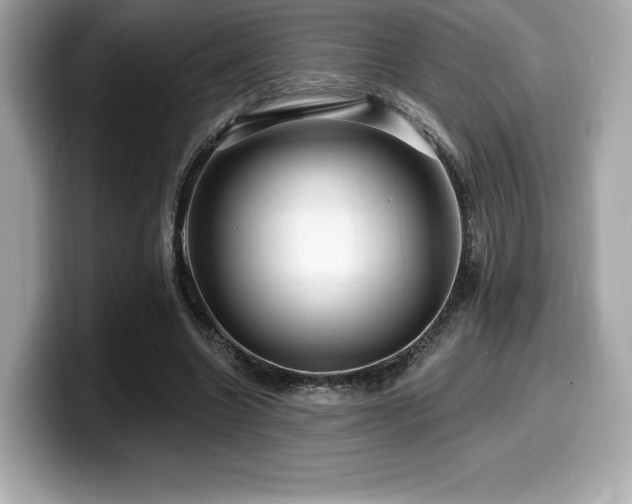 X0000099950538200805231323