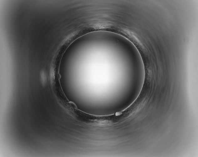 X0000099950539200805231323