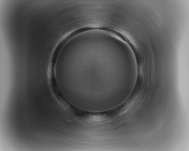 X0000099950540200805231323