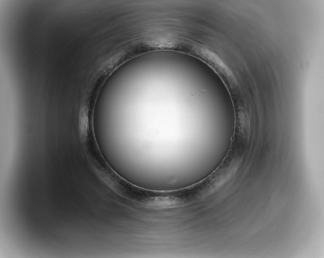 X0000099950541200805231323