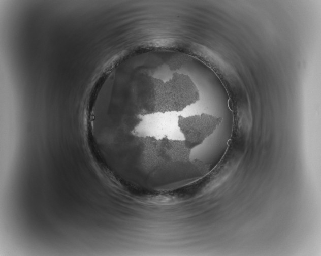 X0000099950542200805231323