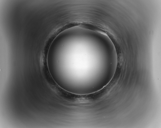 X0000099950544200805231323