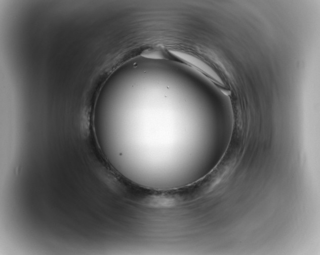 X0000099950545200805231323
