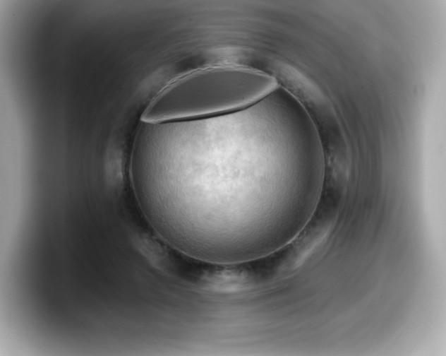 X0000099950546200805231323