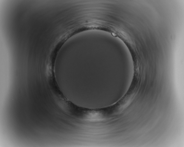 X0000099950547200805231323