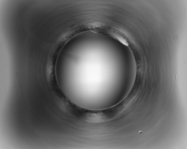 X0000099950548200805231323