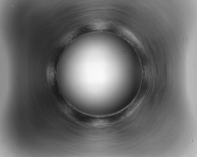X0000099950549200805231323