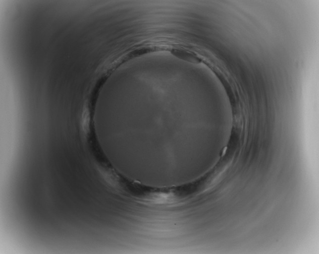 X0000099950552200805231324