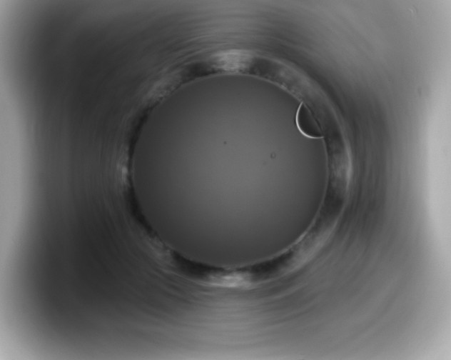 X0000099950553200805231324