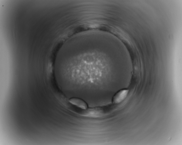X0000099950555200805231324