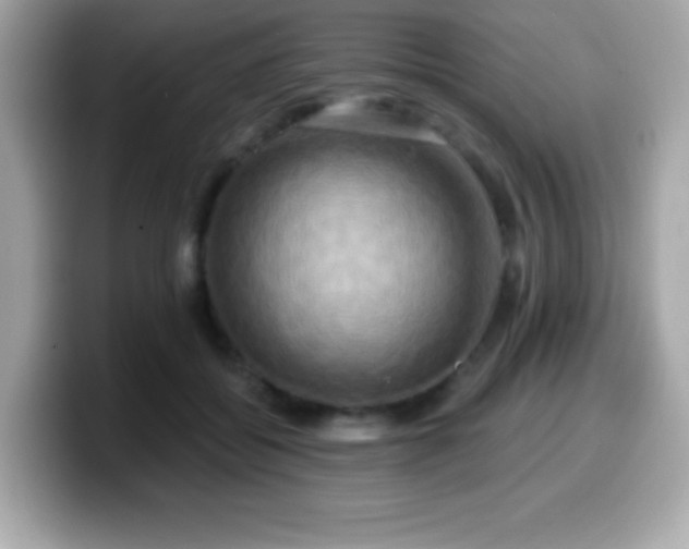X0000099950556200805231324