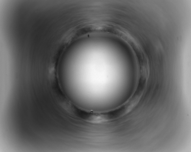 X0000099950557200805231324