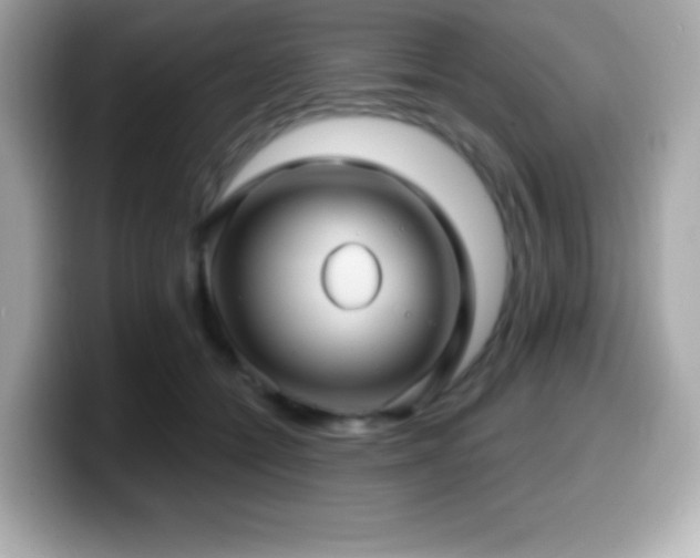 X0000099950558200805231324