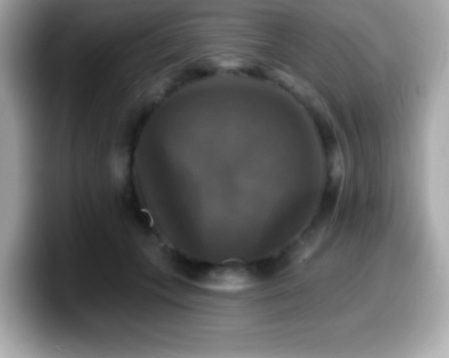 X0000099950559200805231324