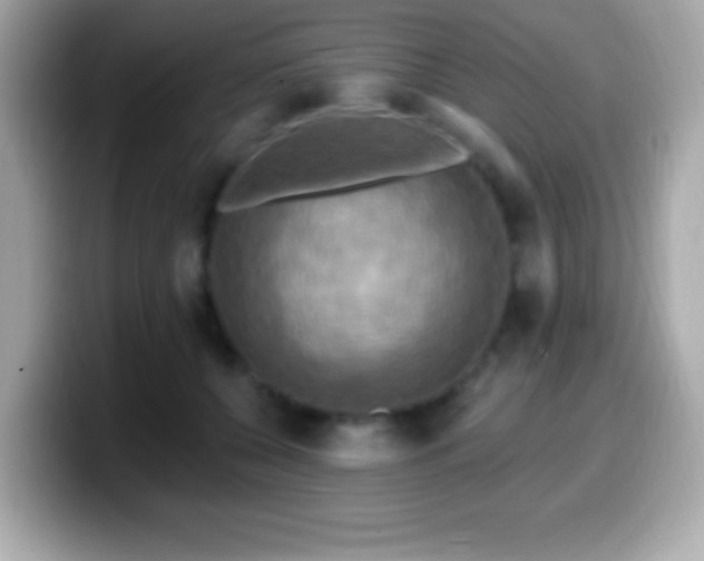 X0000099950560200805231324