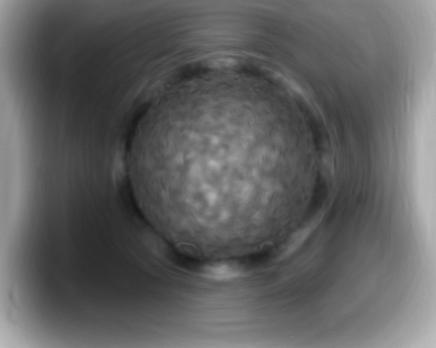 X0000099950561200805231324