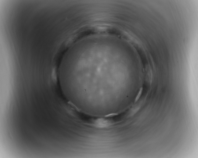 X0000099950562200805231324