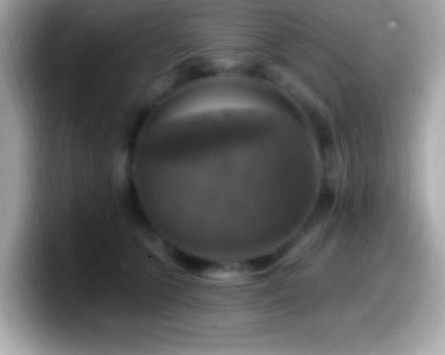 X0000099950563200805231324