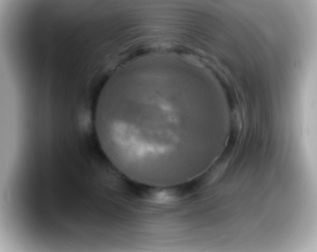 X0000099950564200805231324