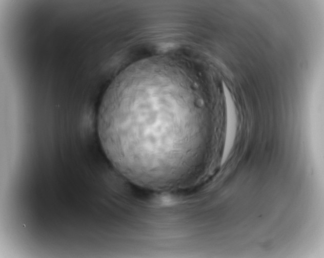 X0000099950565200805231324