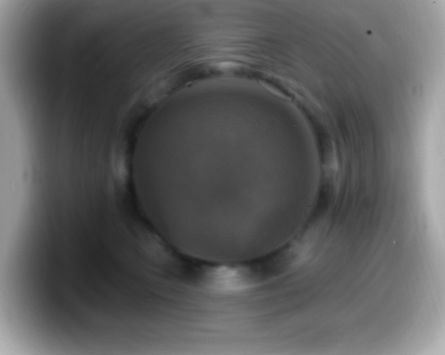 X0000099950566200805231324