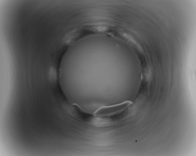 X0000099950568200805231324