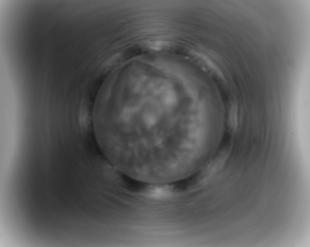 X0000099950569200805231324