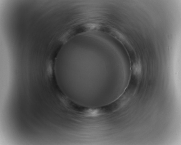 X0000099950570200805231324