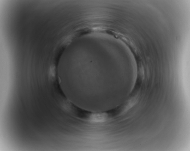 X0000099950571200805231324