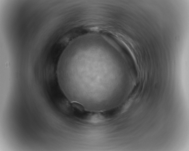 X0000099950572200805231324
