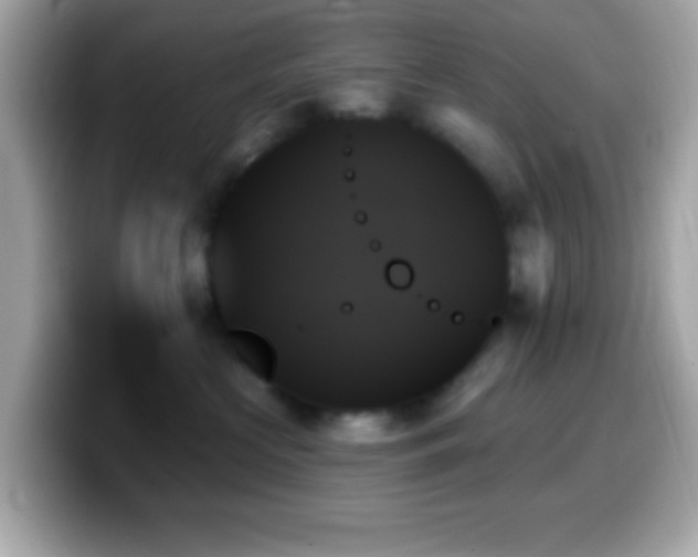 X0000099950573200805231324