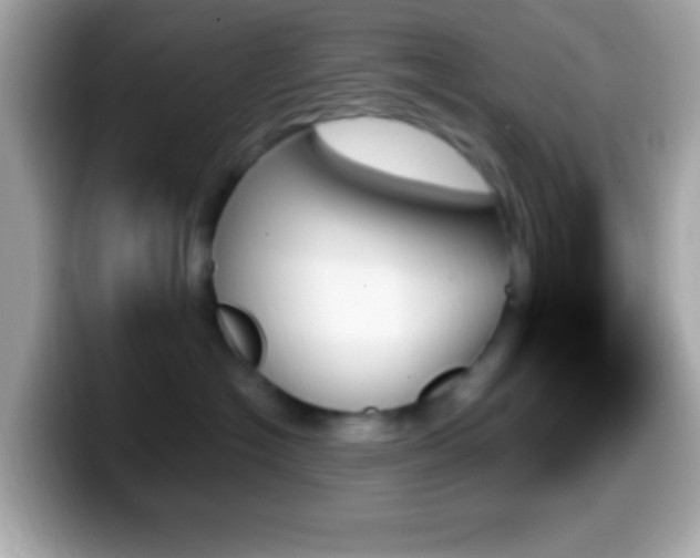 X0000099950574200805231324