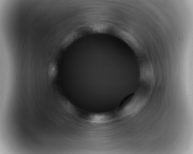 X0000099950575200805231324