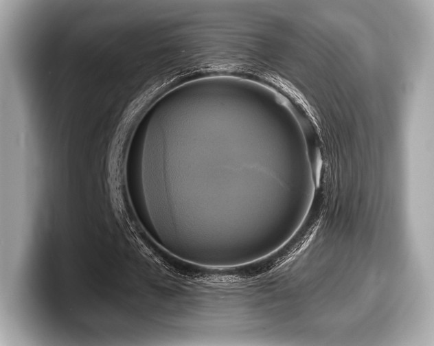 X0000099950577200805231323