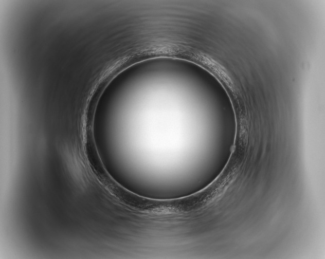 X0000099950578200805231323