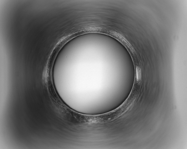 X0000099950579200805231323