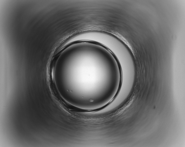 X0000099950581200805231323