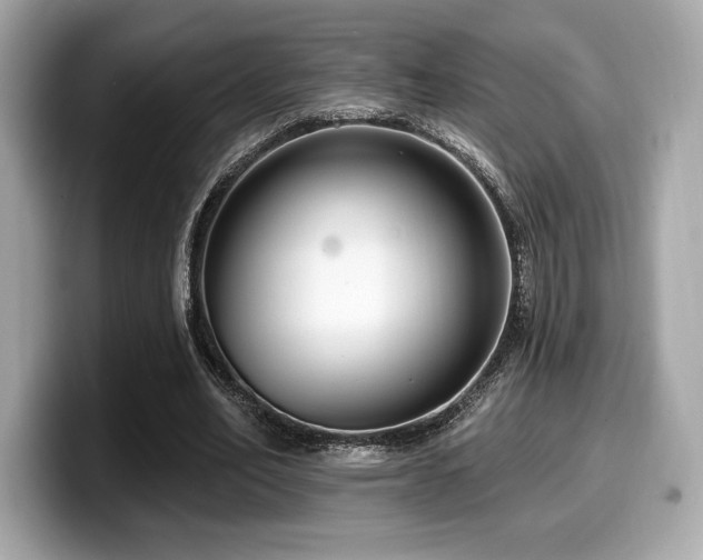 X0000099950582200805231323