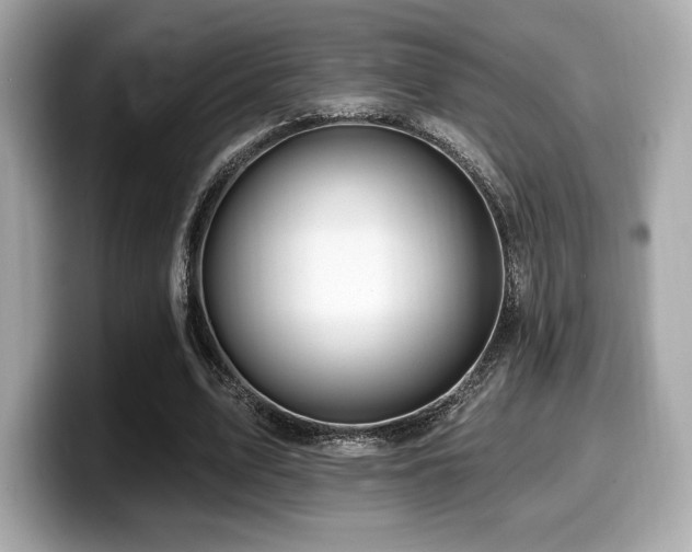 X0000099950583200805231323