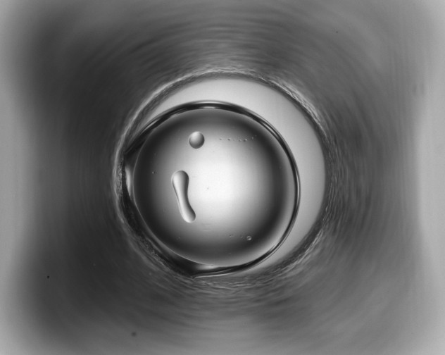 X0000099950584200805231323