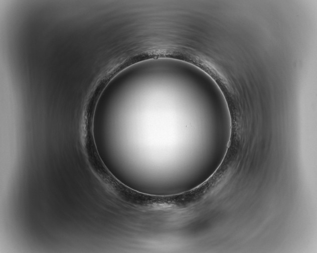 X0000099950586200805231323