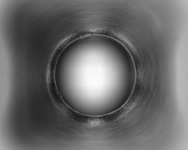 X0000099950587200805231323