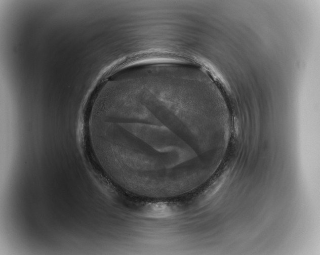 X0000099950588200805231323